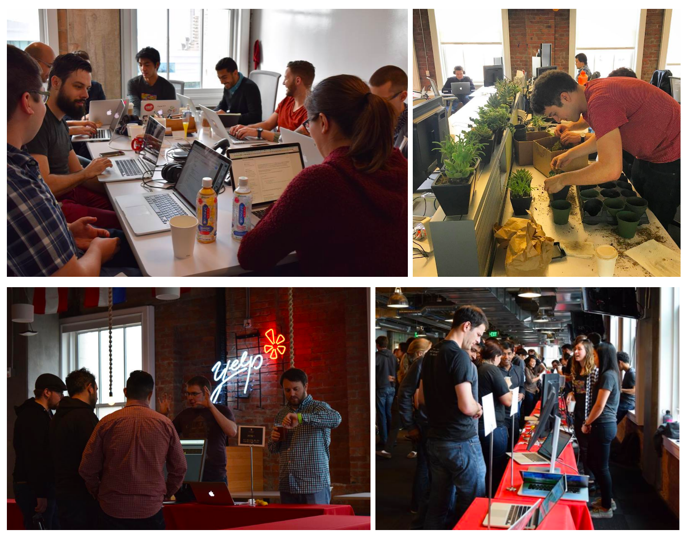 Top row : Hacking - with code and with plants :)
Bottom row : Our engineers demo-ing their hackathon projects at our science-fair style presentation.