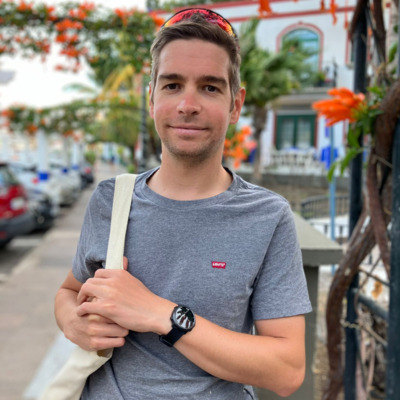 Radu Comaneci, Software Engineer